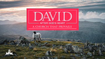 David pt5